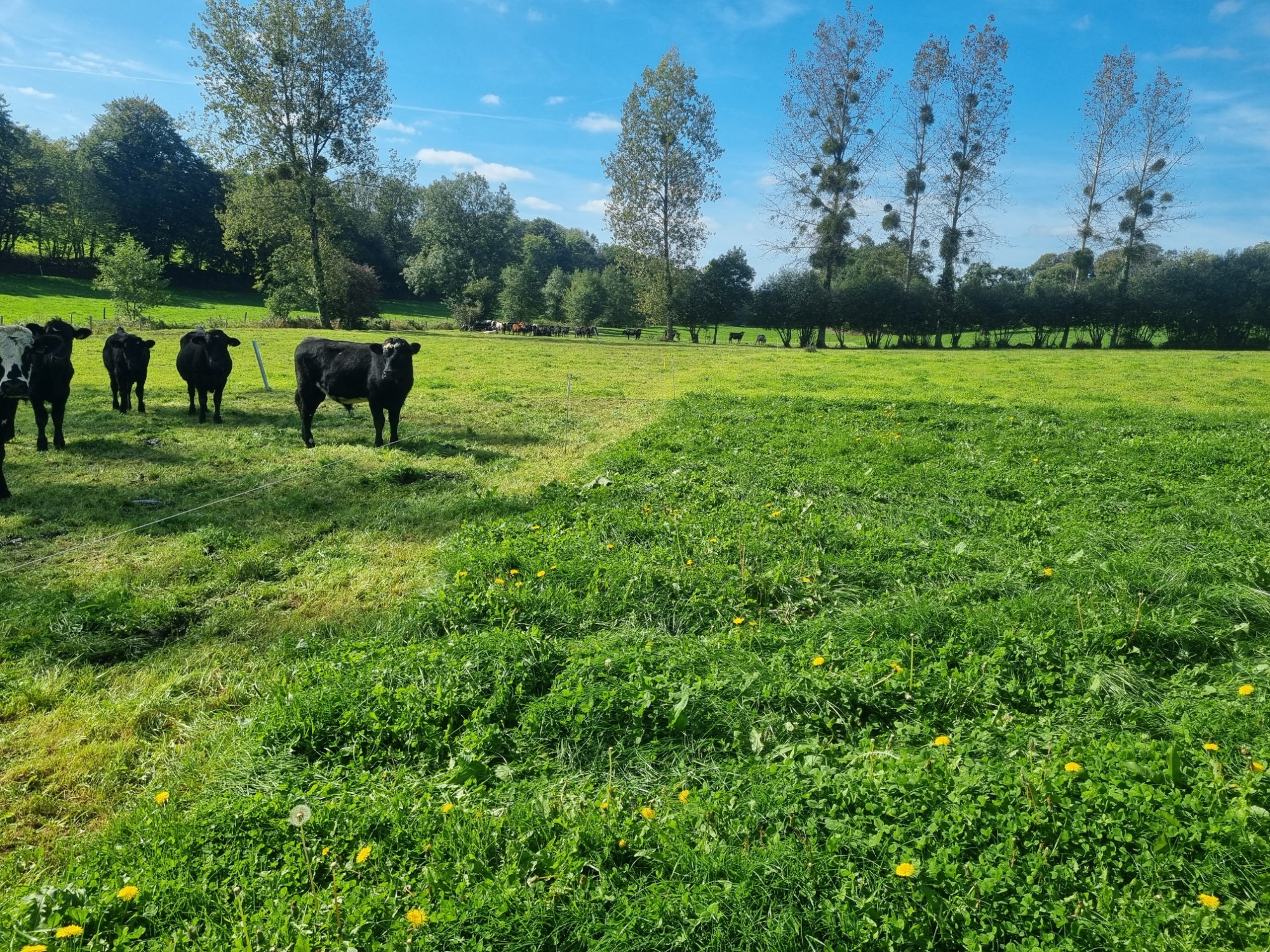 Colis Tradition Bocage